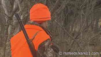 Minnesota lawmakers take aim at lead bullets