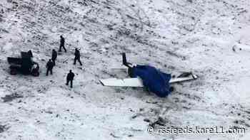 Pilot dies after small plane crash near Hutchinson, Minnesota