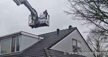 Baasje gaat hoogwerker in om kat van dak te halen in Veenendaal - De Gelderlander