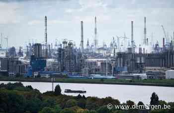 Belgische bedrijven halen hoogste winstmarges ooit: 'Maar ik hou mijn hart vast voor wat komt na corona' - De Morgen