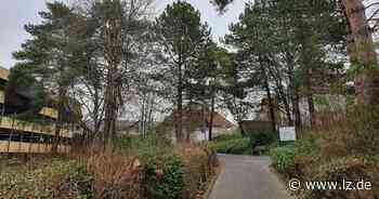 Baumschützer sorgen sich um „grüne Schneise“ in Detmold | Lokale Nachrichten aus Detmold - Lippische Landes-Zeitung