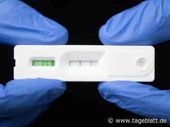 Mediziner klärt auf: Welche Fehlerquellen beim Schnelltest lauern - Landkreis Stade - Tageblatt-online