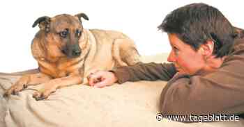 Wie eine Tierschützerin aus dem Cuxland Angsthunden hilft - TAGEBLATT: Nachrichten aus Stade, Buxtehude und der Region - Tageblatt-online