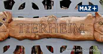 Luckenwalde: Vereinsmitglieder vom Tierheim sagen Danke - Märkische Allgemeine Zeitung