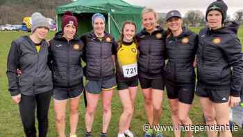 Ladies' day for Dunleer as they capture McBride Cup - Independent.ie