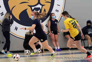 Delayed futsal season nears kickoff - Brandon Sun