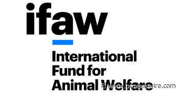 Iceland Fisheries Minister signals end of whaling