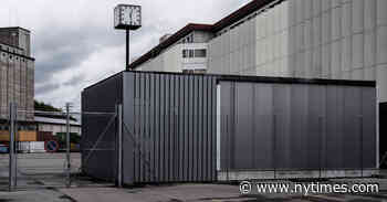 U.S. Study Finds Further Regulation of the Art Market Not Needed Now