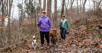 Huntington Museum of Art fundraises for trail expansion with grants, gifts - Huntington Herald Dispatch