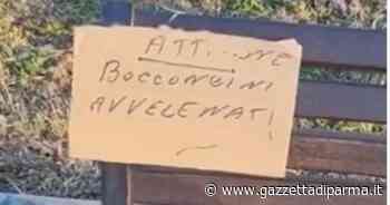 «Bocconi avvelenati»: il mistero dei cartelli - Gazzetta di Parma