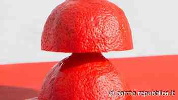 Fotografia, Mia Fair entra nel gruppo Fiere di Parma - La Repubblica