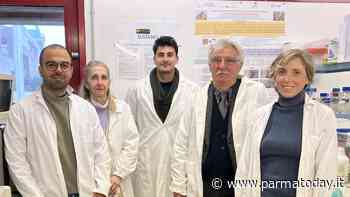 Nanomateriali: ricerche dell’Università di Parma spiegano come possono agire su animali e piante - ParmaToday