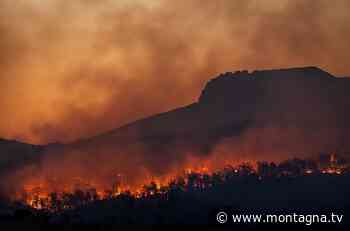 Siccità e venti forti, è allerta incendi sull’arco alpino - Montagna.tv