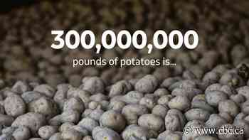 Here's how many P.E.I. potatoes will be destroyed because the U.S. border is closed