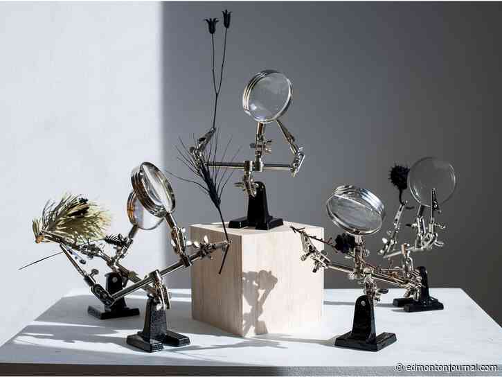 Three to See: Refugium, Blue Chair music and the A Little Bit Ritchie podcast