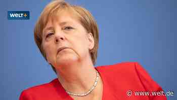 Hans Herbert von Arnim: „Vor Angela Merkel habe ich Respekt“ - WELT - WELT