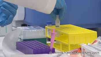 Hawaii confirms 10 additional coronavirus fatalities, pushing death toll to 1,204 - Hawaii News Now