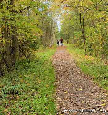 Holdidayers can claim Ontario staycation 20% tax credit in 2022 - Belleville Intelligencer