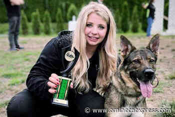 Lower Mainland dog found safe after disappearing from property last week – Vanderhoof Omineca Express - Omineca Express