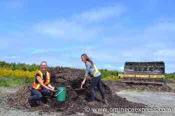 Project Zero Incubator program aims to support green startups in B.C. - Omineca Express