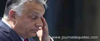 Élections en Hongrie : l’OSCE recommande un envoi massif d’observateurs