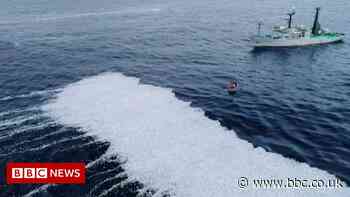 Huge bank of dead fish spotted off French Atlantic coast