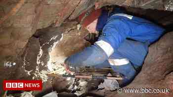 Woolly mammoth and other Ice Age remains found in Devon