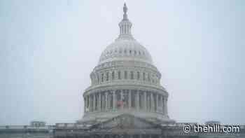 Congressional staffers launch efforts to unionize amid support from Democratic leadership