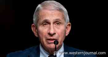 If GOP Takes Senate, Fauci Will Be in a World of Trouble, Rand Paul Says