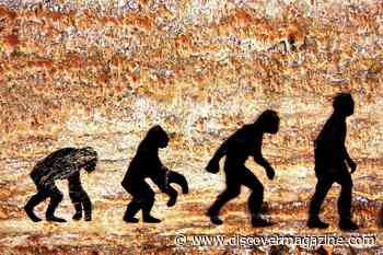 Human Evolution in the Modern Age