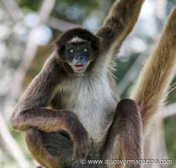 How a Group of Former Colombian Guerrilla Fighters Became Citizen Scientists