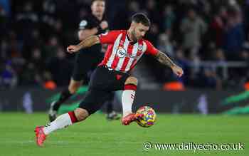 Ralph Hasenhuttl backs Adam Armstrong for Southampton ahead of Coventry in FA Cup - Daily Echo