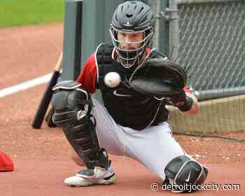 What is the Detroit Tigers timetable for catcher Dillon Dingler? - Detroit Jock City