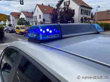 RTK: Mann mit Hunden schlägt zu! Jugendliche zündeln am Bahnhof in Idstein! - News Stadt