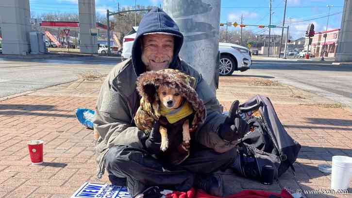 Calls to Austin 311 about animals during winter storm