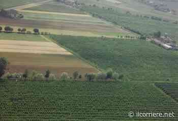 Cia Cuneo illustra i contenuti della nuova Politica Agricola Comune 2023-2027: per l'Italia 51 miliardi di euro - https://ilcorriere.net/