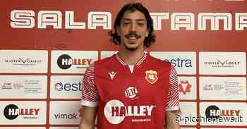 Serie C, l'Ancona Matelica acquista dall'Olbia il centrocampista Luca Palesi - Picchio News