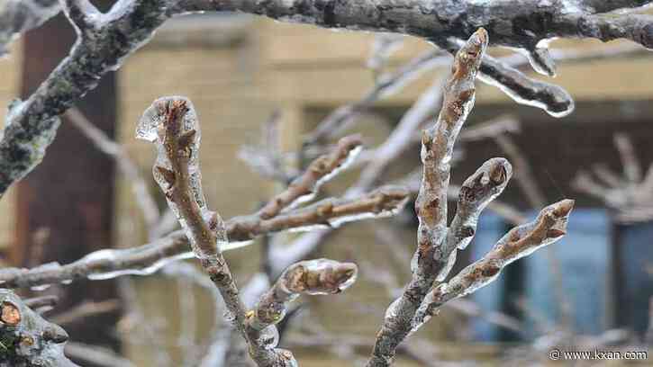 Local disaster declaration issued for city of Austin, Travis County