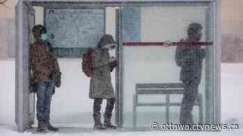 Ottawa COVID-19 hospitalizations drop to lowest level this year - CTV News Ottawa