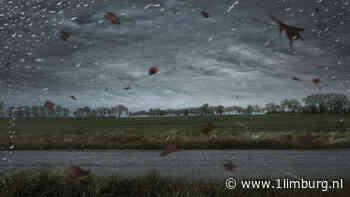 Maandag code geel om zware windstoten - 1Limburg | Nieuws en sport uit Limburg