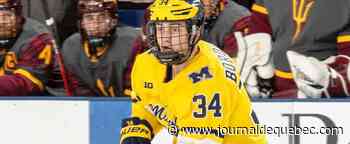 Le Michigan ou San Jose?