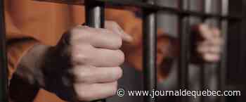 Fin de semaine en prison pour les coachs accusés