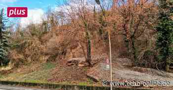 Heppenheim: Mehr Parkraum, doch Großbaustellen machen Sorgen - Echo Online