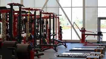 How copper can help reduce infectious diseases - Squamish Chief