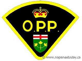 Deseronto driver facing charges after traffic stop by OPP - napaneetoday.ca