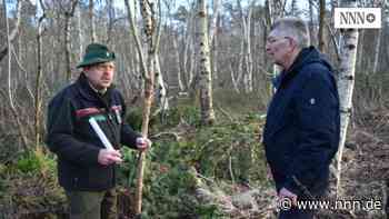 Markgrafenheide : Einige Anwohner entsorgen ihren Müll in der Rostocker Heide | nnn.de - nnn.de