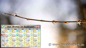 Nach Regen, Schnee und Graupelschauern: Ist der Frühling schon in den Startlöchern?