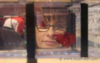 A Antibes, un week-end en immersion parmi les poissons et les reptiles