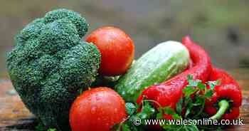 Why eating seasonal food could be better than a month of veganism - Wales Online