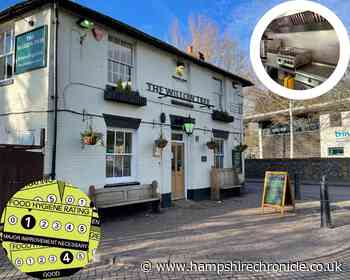 The Willow Tree gets a zero food hygiene rating - owner vows to improve - Hampshire Chronicle